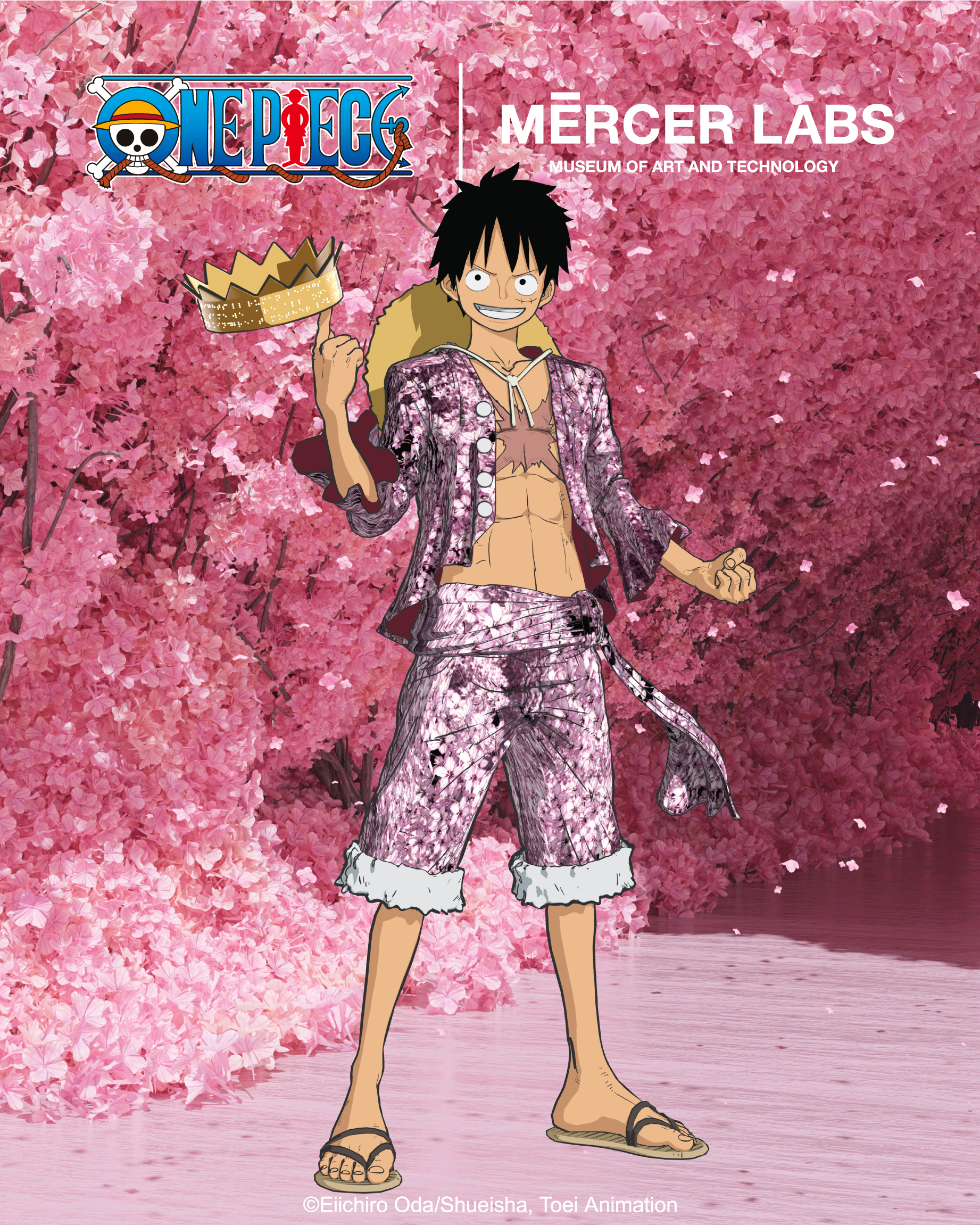 DEATH NYC 「ONE PIECE」 額付き Immersive ONE PIECE Exhibition at Mercer Labs in Downtown NYC